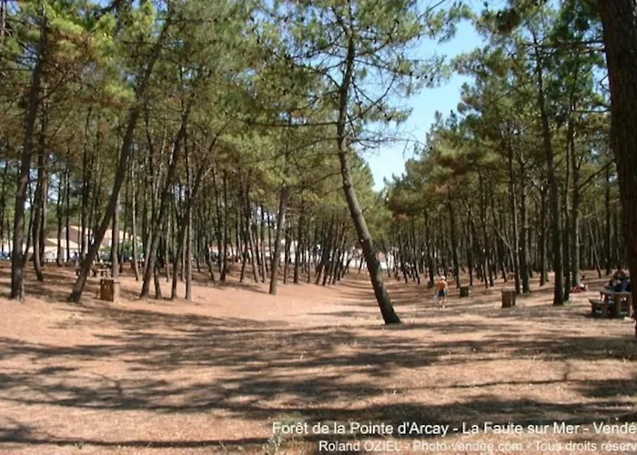 Villa Maison Bord De